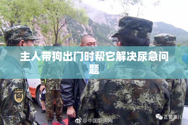 主人带狗出门时帮它解决尿急问题