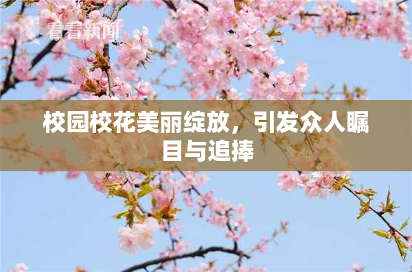 校园校花美丽绽放，引发众人瞩目与追捧