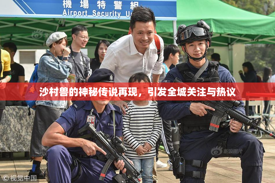 沙村兽的神秘传说再现，引发全城关注与热议