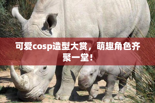 可爱cosp造型大赏，萌趣角色齐聚一堂！