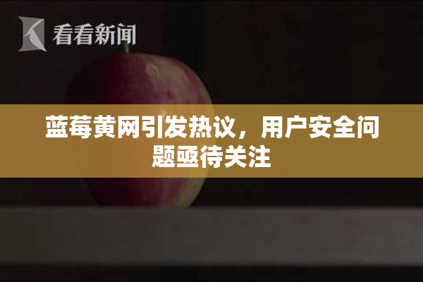 蓝莓黄网引发热议，用户安全问题亟待关注