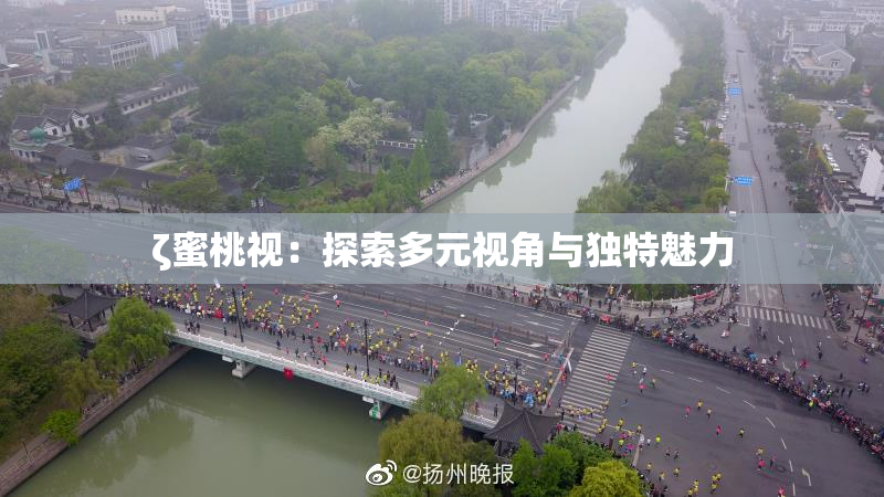 ζ蜜桃视：探索多元视角与独特魅力