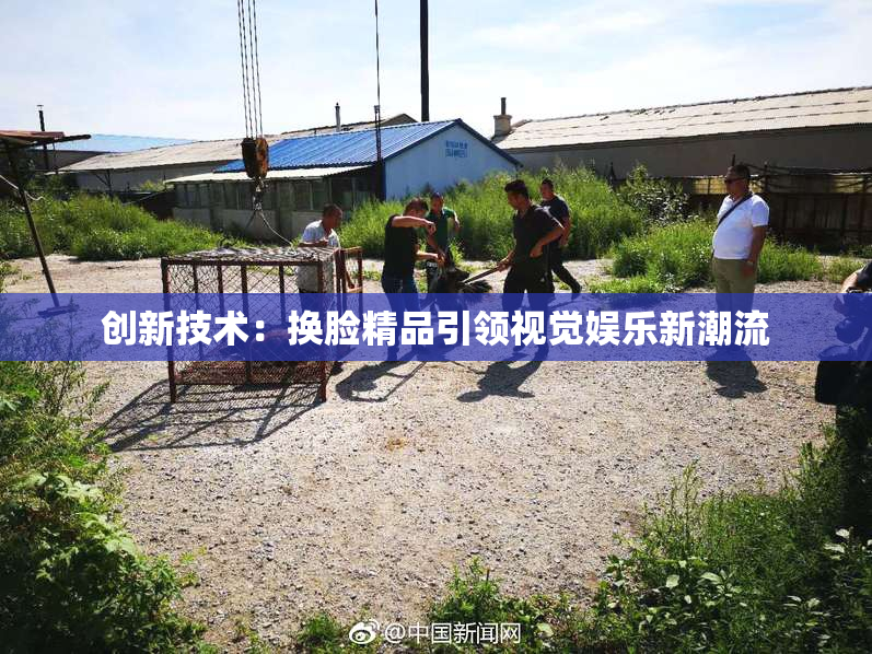 创新技术：换脸精品引领视觉娱乐新潮流