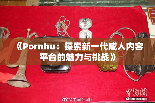 《Pornhu：探索新一代成人内容平台的魅力与挑战》