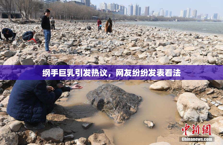 纲手巨乳引发热议，网友纷纷发表看法