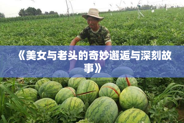 《美女与老头的奇妙邂逅与深刻故事》