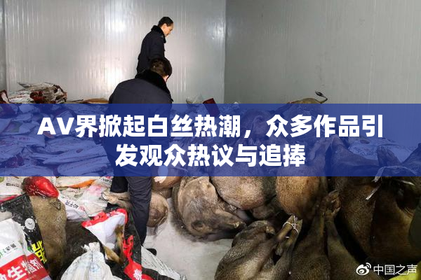 AV界掀起白丝热潮，众多作品引发观众热议与追捧