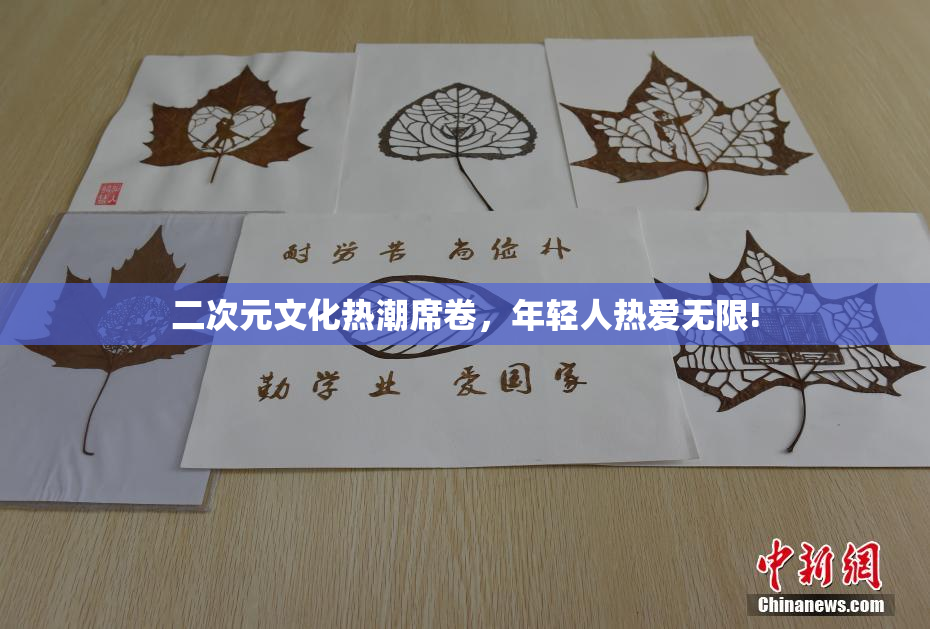 二次元文化热潮席卷，年轻人热爱无限!