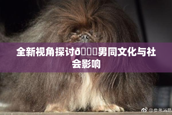 全新视角探讨🔞男同文化与社会影响