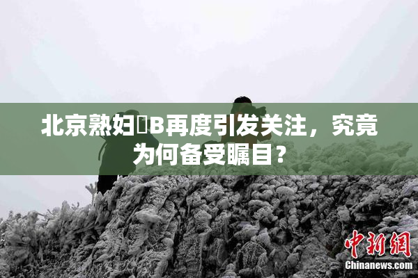 北京熟妇槡B再度引发关注，究竟为何备受瞩目？