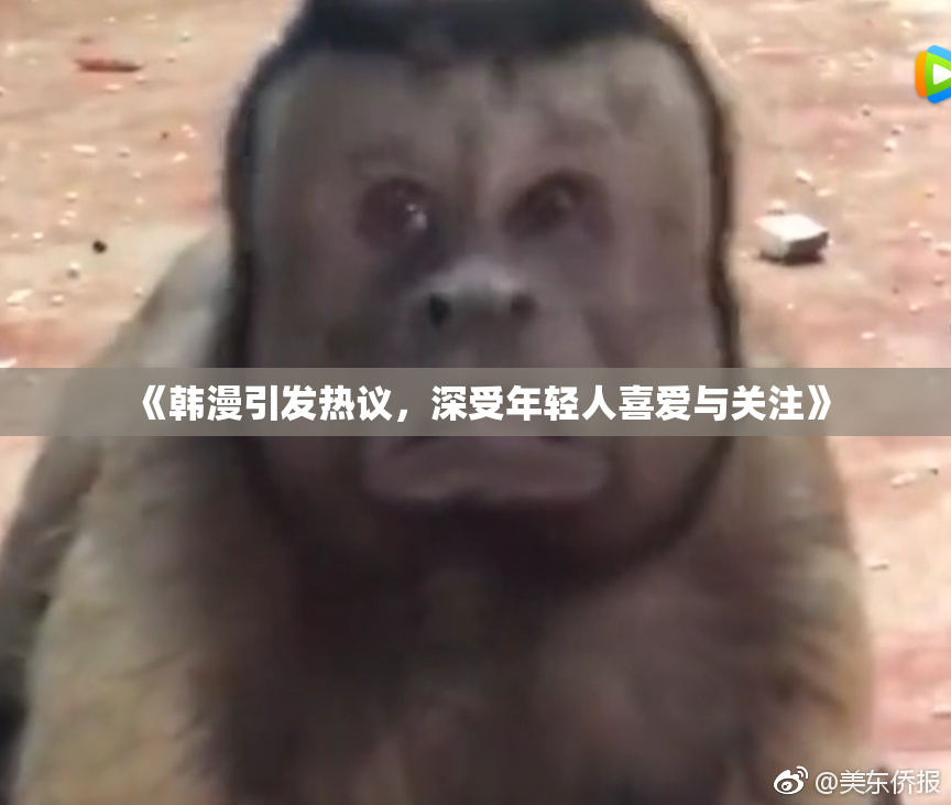 《韩漫引发热议，深受年轻人喜爱与关注》