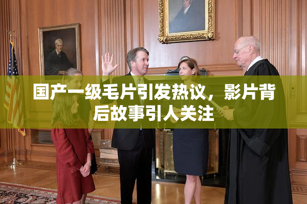 国产一级毛片引发热议，影片背后故事引人关注