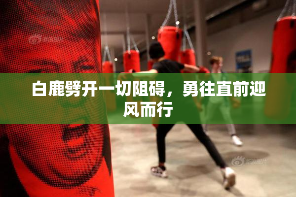 白鹿劈开一切阻碍，勇往直前迎风而行