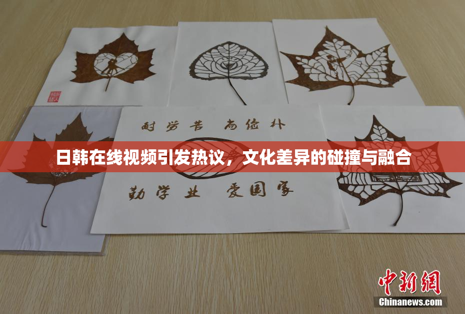 日韩在线视频引发热议，文化差异的碰撞与融合