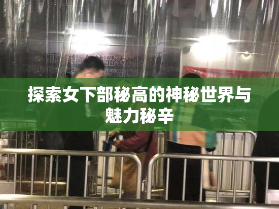 探索女下部秘高的神秘世界与魅力秘辛