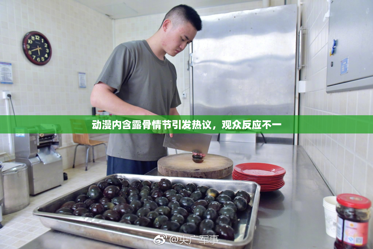 动漫内含露骨情节引发热议，观众反应不一