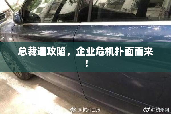 总裁遭攻陷，企业危机扑面而来！
