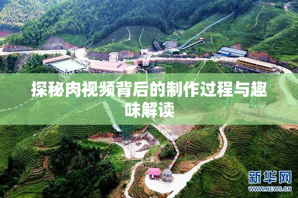 探秘肉视频背后的制作过程与趣味解读