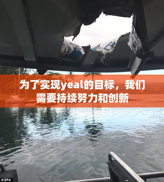 为了实现yeal的目标，我们需要持续努力和创新