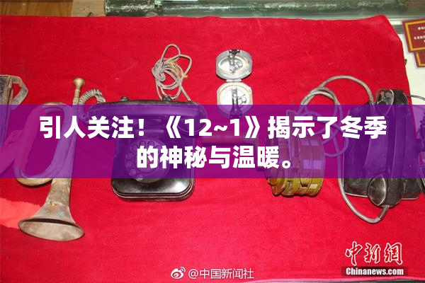 引人关注！《12~1》揭示了冬季的神秘与温暖。