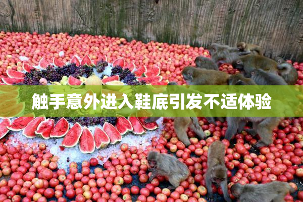触手意外进入鞋底引发不适体验
