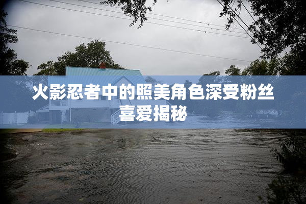 火影忍者中的照美角色深受粉丝喜爱揭秘