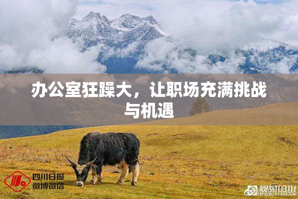 办公室狂躁大，让职场充满挑战与机遇