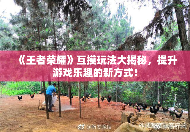 《王者荣耀》互摸玩法大揭秘，提升游戏乐趣的新方式！