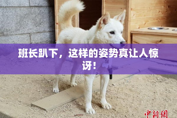 班长趴下，这样的姿势真让人惊讶！