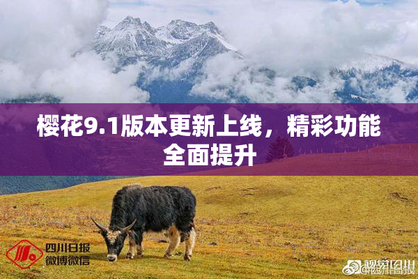 樱花9.1版本更新上线，精彩功能全面提升