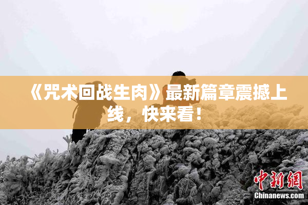 《咒术回战生肉》最新篇章震撼上线，快来看！