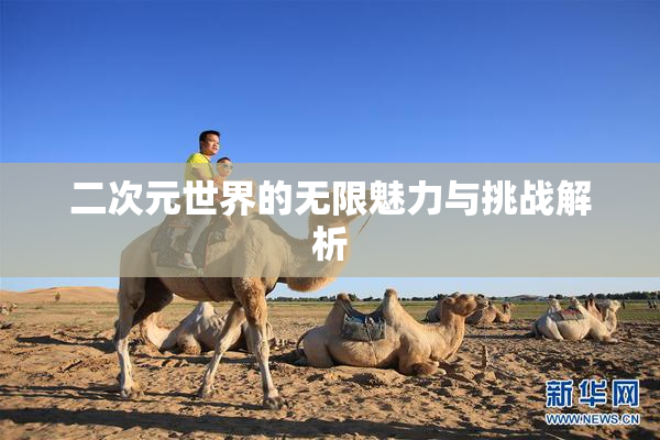 二次元世界的无限魅力与挑战解析