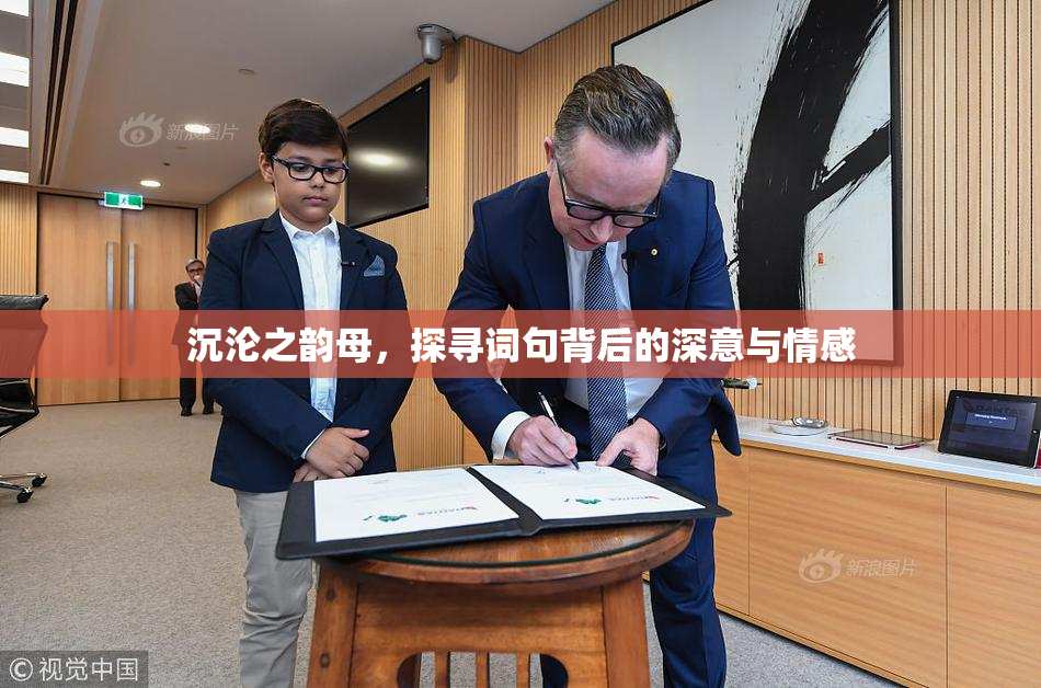 沉沦之韵母，探寻词句背后的深意与情感