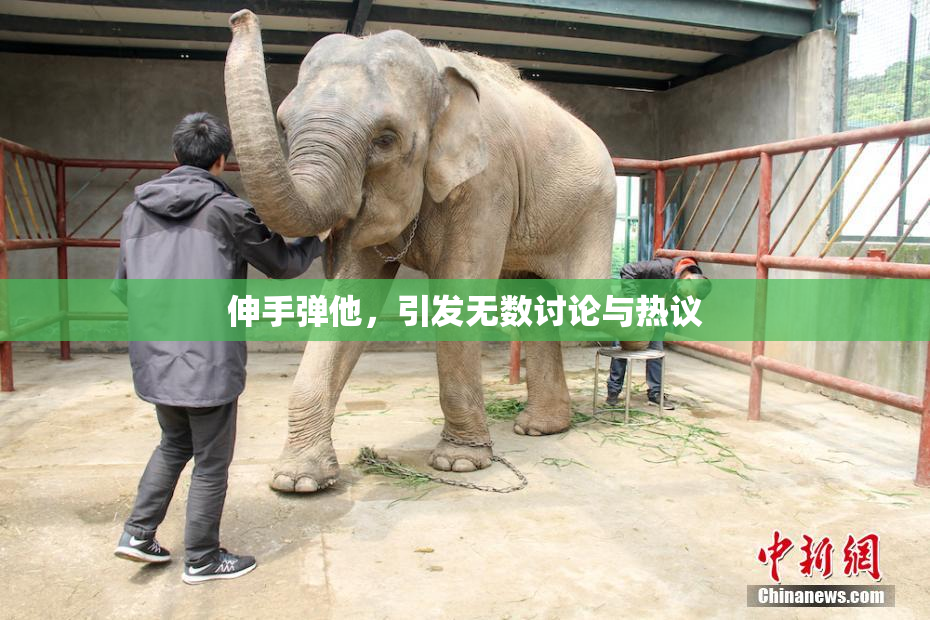 伸手弹他，引发无数讨论与热议