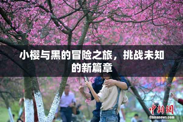小樱与黑的冒险之旅，挑战未知的新篇章