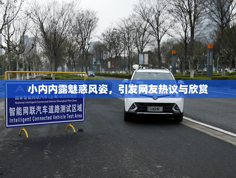 小内内露魅惑风姿，引发网友热议与欣赏