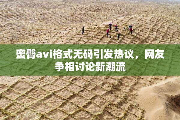 蜜臀avi格式无码引发热议，网友争相讨论新潮流