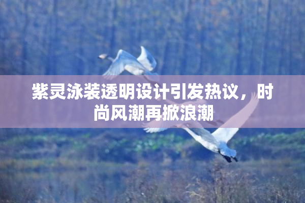 紫灵泳装透明设计引发热议，时尚风潮再掀浪潮