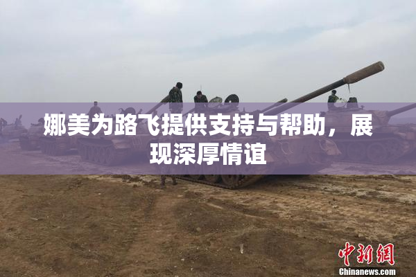 娜美为路飞提供支持与帮助，展现深厚情谊
