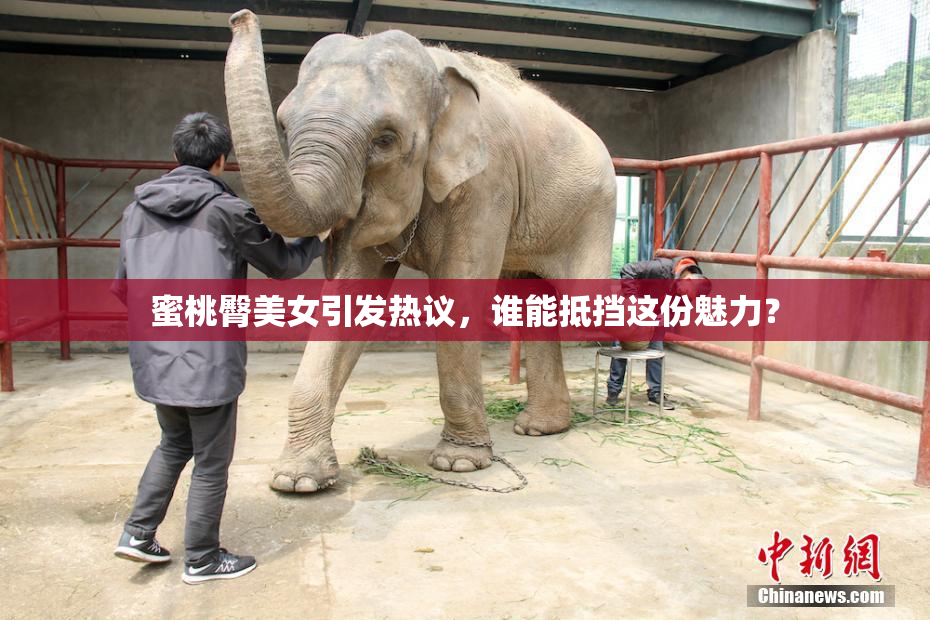 蜜桃臀美女引发热议，谁能抵挡这份魅力？