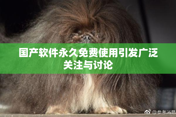 国产软件永久免费使用引发广泛关注与讨论