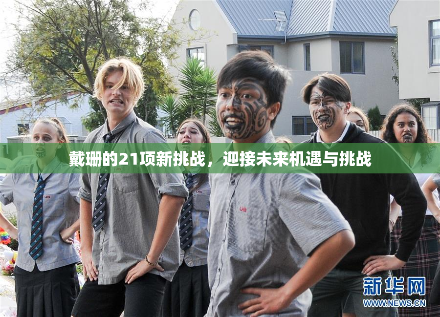 戴珊的21项新挑战，迎接未来机遇与挑战