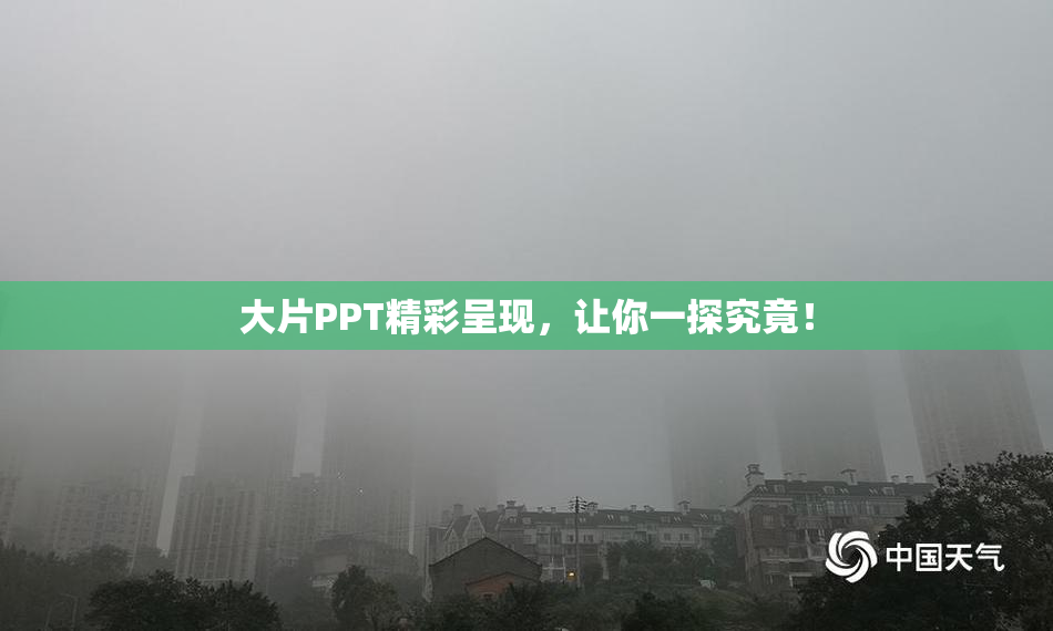 大片PPT精彩呈现，让你一探究竟！