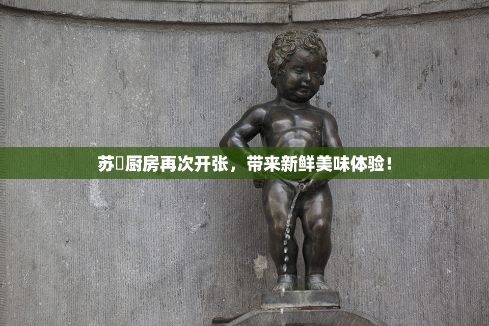 苏玥厨房再次开张，带来新鲜美味体验！