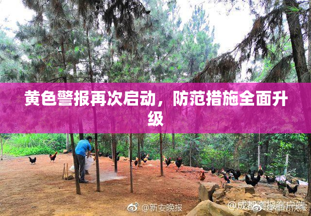 黄色警报再次启动，防范措施全面升级