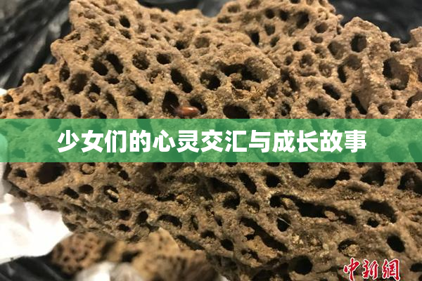少女们的心灵交汇与成长故事