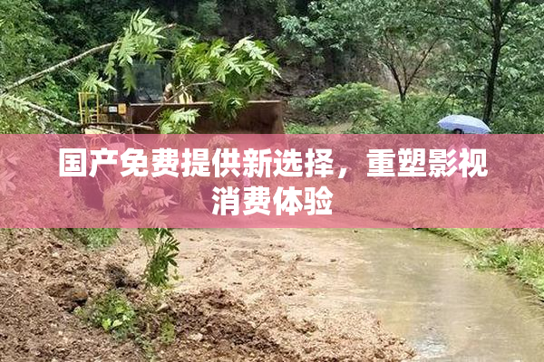 国产免费提供新选择，重塑影视消费体验