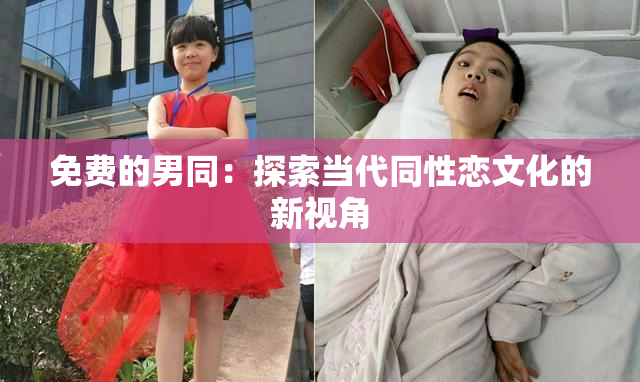 免费的男同：探索当代同性恋文化的新视角