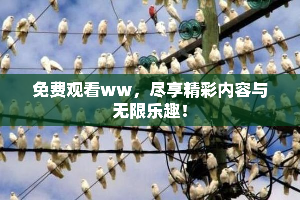 免费观看ww，尽享精彩内容与无限乐趣！