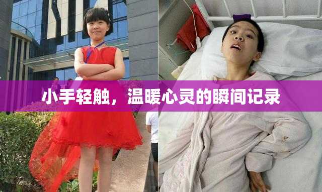 小手轻触，温暖心灵的瞬间记录